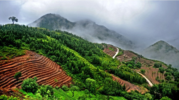 花台自然风景区