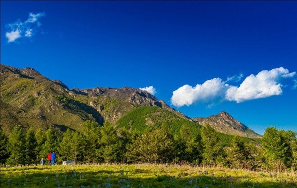 蒲洼夏季旅行攻略：躺在云端看风景