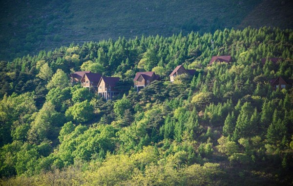 蒲洼夏季旅行攻略：躺在云端看风景