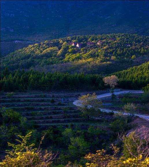 蒲洼夏季旅行攻略：躺在云端看风景