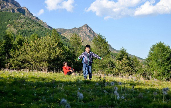 蒲洼夏季旅行攻略：躺在云端看风景
