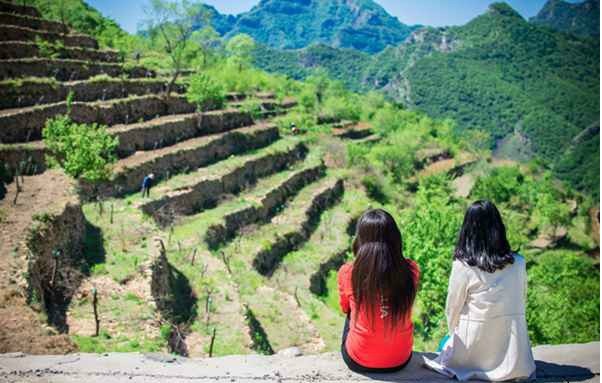 蒲洼夏季旅行攻略：躺在云端看风景