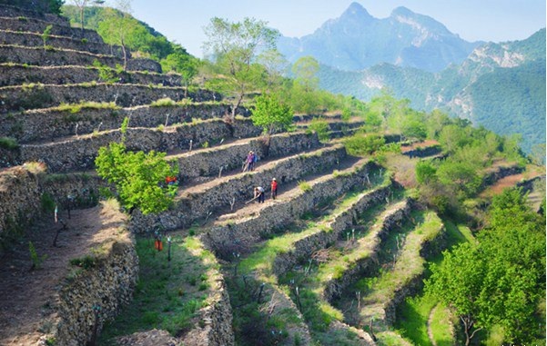 蒲洼夏季旅行攻略：躺在云端看风景