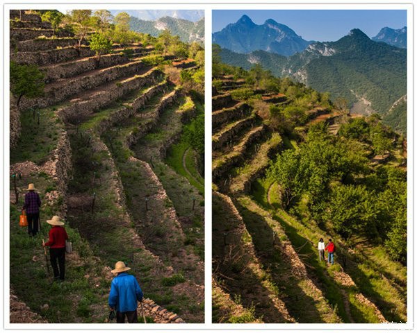 蒲洼夏季旅行攻略：躺在云端看风景