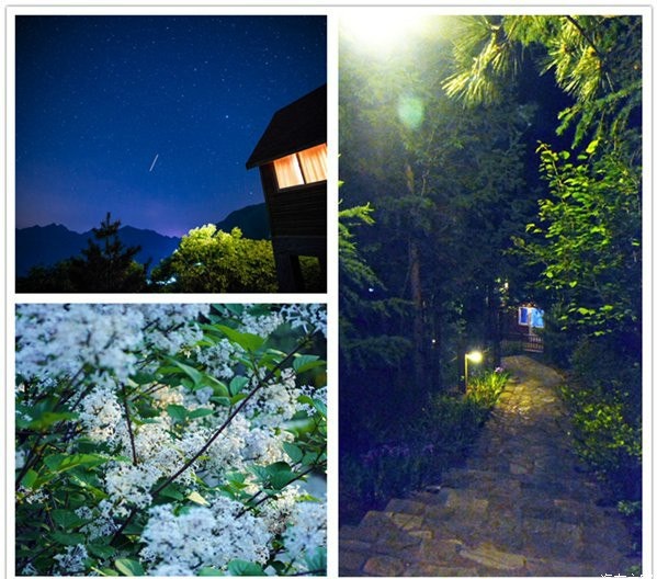 蒲洼夏季旅行攻略：躺在云端看风景