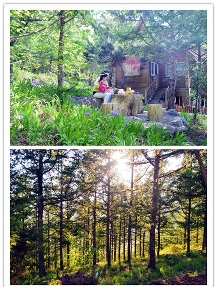 蒲洼夏季旅行攻略：躺在云端看风景