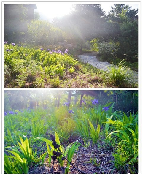 蒲洼夏季旅行攻略：躺在云端看风景