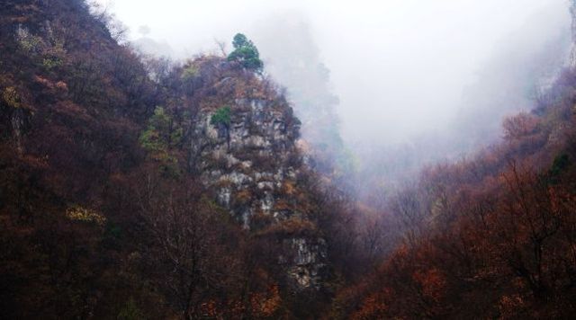再探蒲洼，秋雨羞涩中的椅子圈