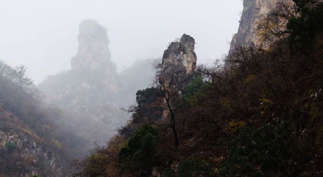再探蒲洼，秋雨羞涩中的椅子圈