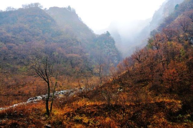 再探蒲洼，秋雨羞涩中的椅子圈
