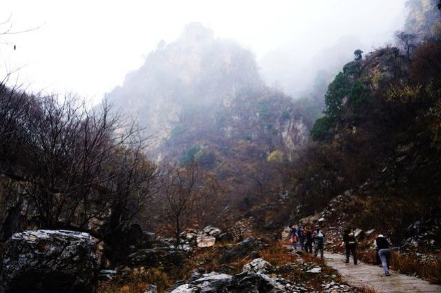 再探蒲洼，秋雨羞涩中的椅子圈