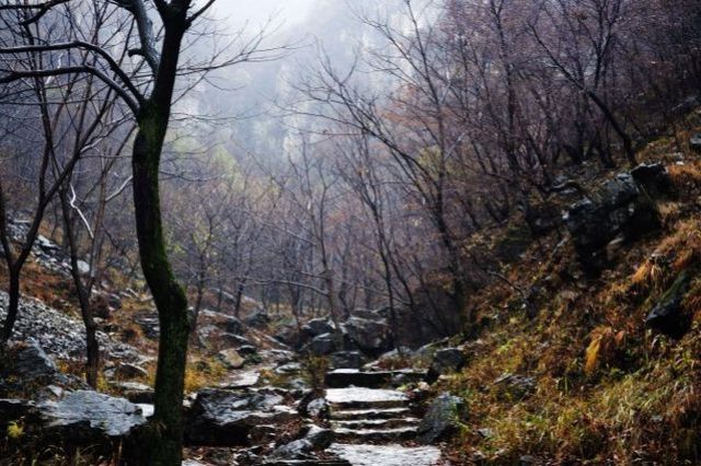 再探蒲洼，秋雨羞涩中的椅子圈
