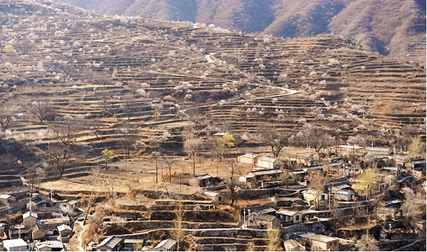 蒲洼春季旅行攻略
