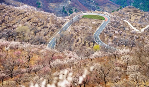 蒲洼春季旅行攻略
