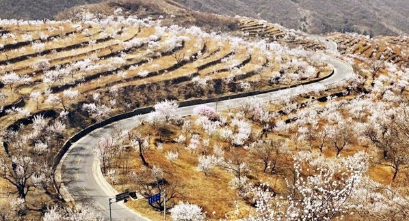 蒲洼春季旅行攻略