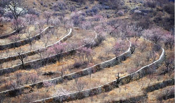 蒲洼春季旅行攻略