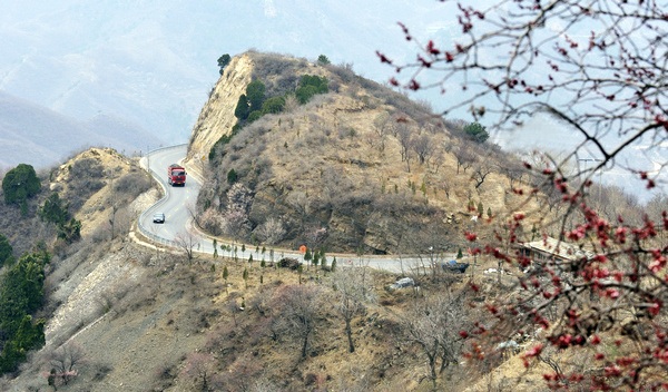 蒲洼春季旅行攻略