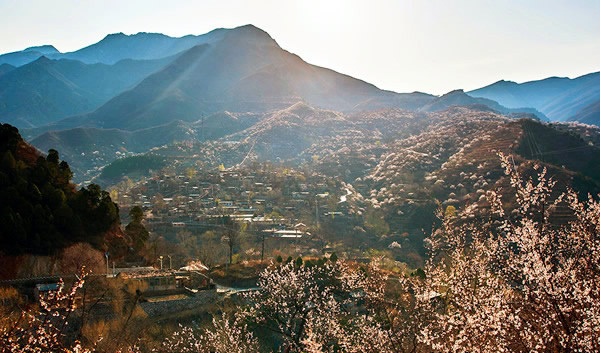 蒲洼春季旅行攻略