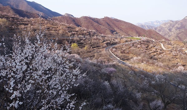 蒲洼春季旅行攻略