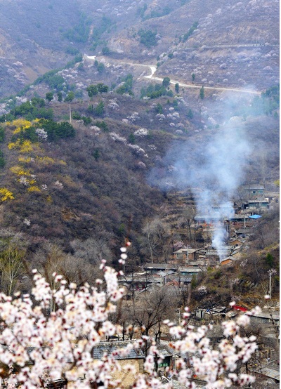 蒲洼春季旅行攻略