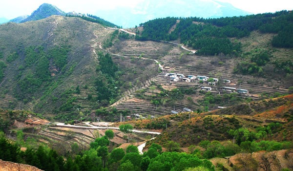 蒲洼春季旅行攻略