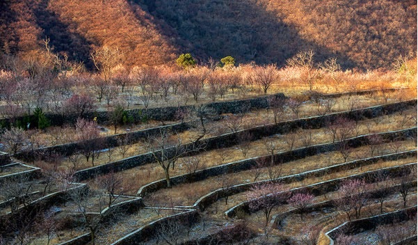 蒲洼春季旅行攻略