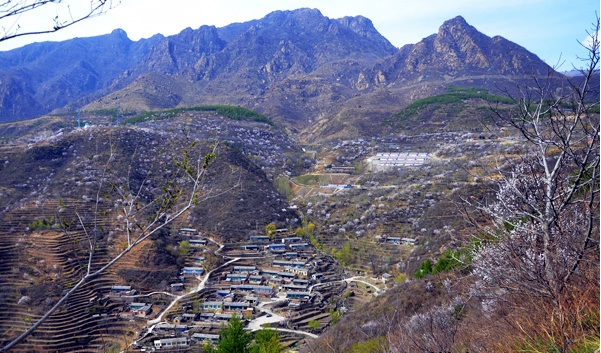蒲洼春季旅行攻略