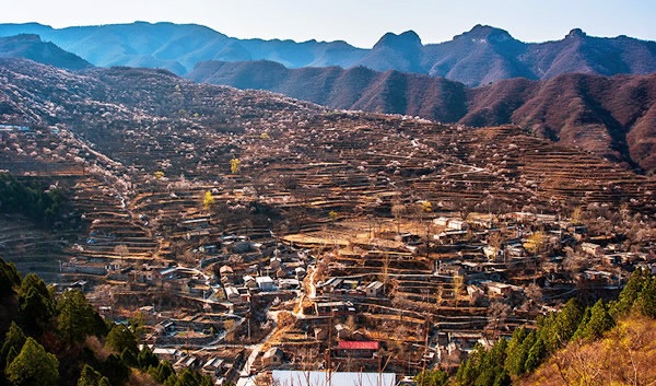 蒲洼春季旅行攻略