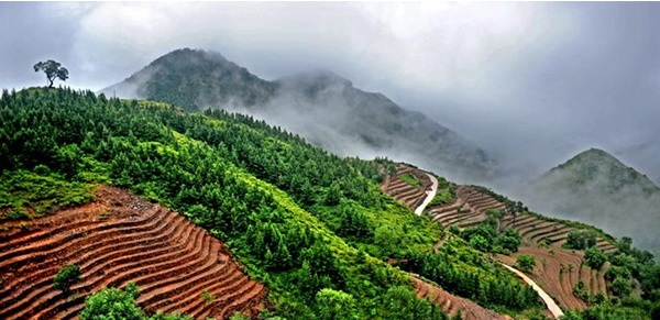 蒲洼春季旅行攻略