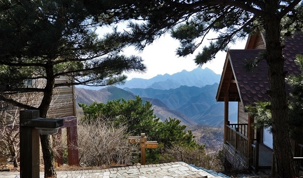 蒲洼春季旅行攻略