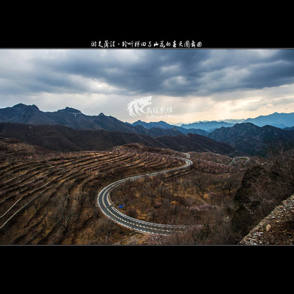 聆听蒲洼梯田山花交汇的春天圆舞曲