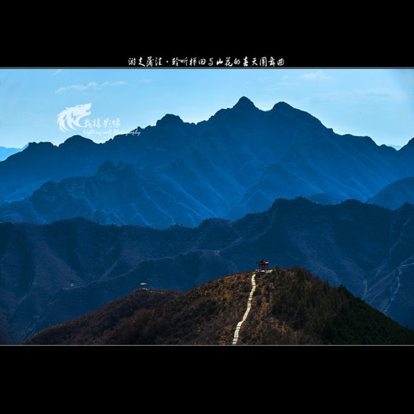 聆听蒲洼梯田山花交汇的春天圆舞曲