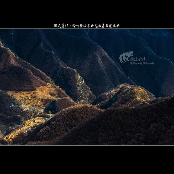 聆听蒲洼梯田山花交汇的春天圆舞曲