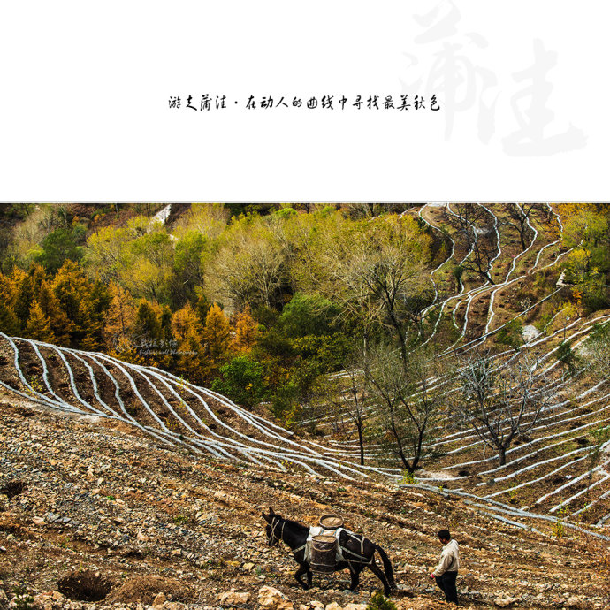 北京最美公路--108国道蒲洼段