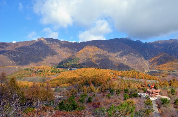 堆金台