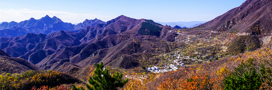 东村
