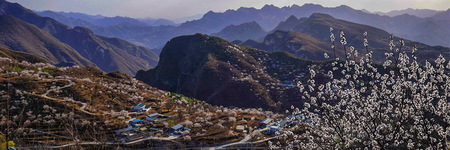 鱼斗泉村