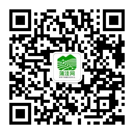 蒲洼网公众号二维码